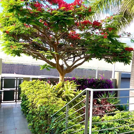 Miradoiro Apartment *